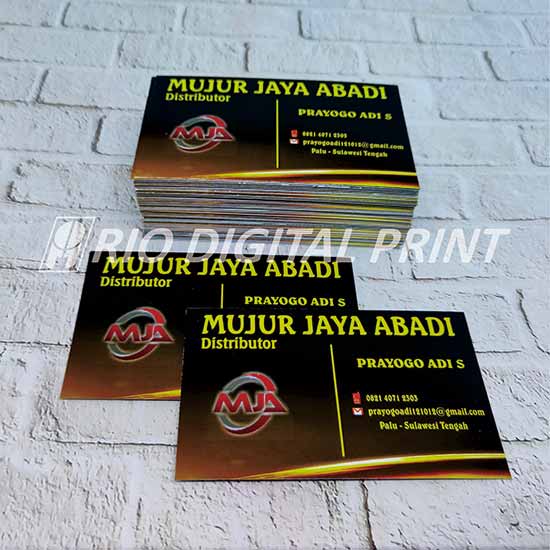 Kartu Nama Art Paper 210/260 gsm Uk. Standar 9x5,5cm Rio Digital Printing Palu