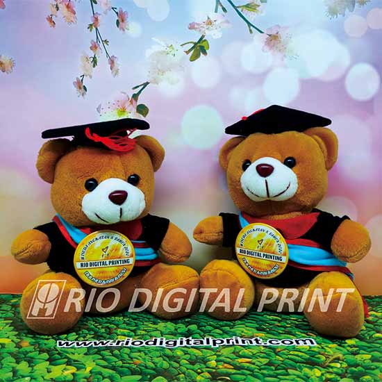 Boneka Wisuda